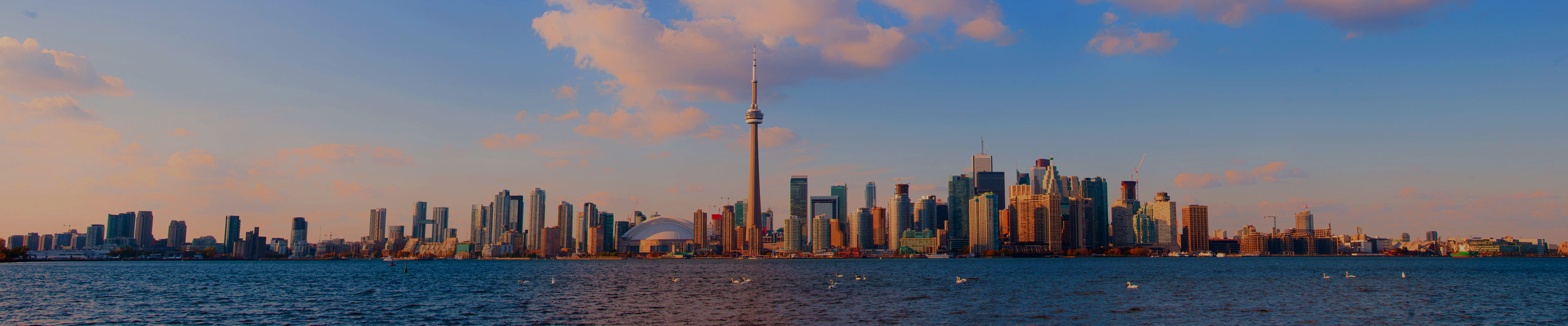 Best Digital Strategy Agencies in Canada